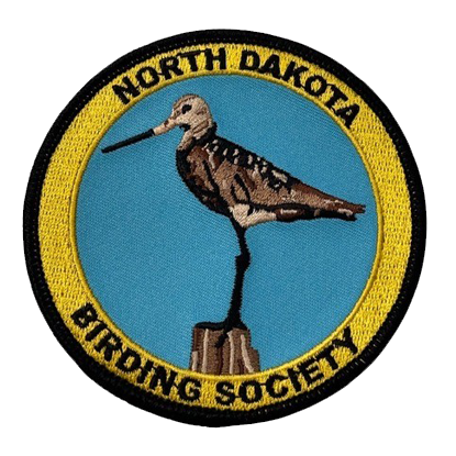 NDBS patch